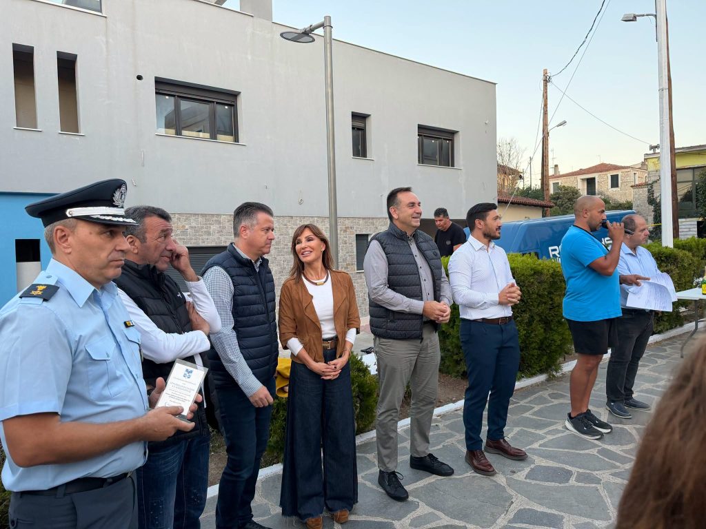 ΕΠΙΣΗΜΟΙ1 n